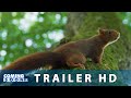 LA QUERCIA E I SUOI ABITANTI (2024) Trailer del Film di Laurent Charbonnier e Michel Seydoux.