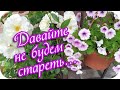 Доброе утро! 🌸Давайте не будем стареть... 🌸Красивое музыкальное пожелание 🌸Good morning!🌸