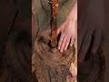 Crafting Magic with Wood! ✨