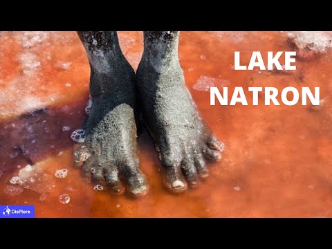 Video: Natron: The Lake That Turns All Life Into Stone