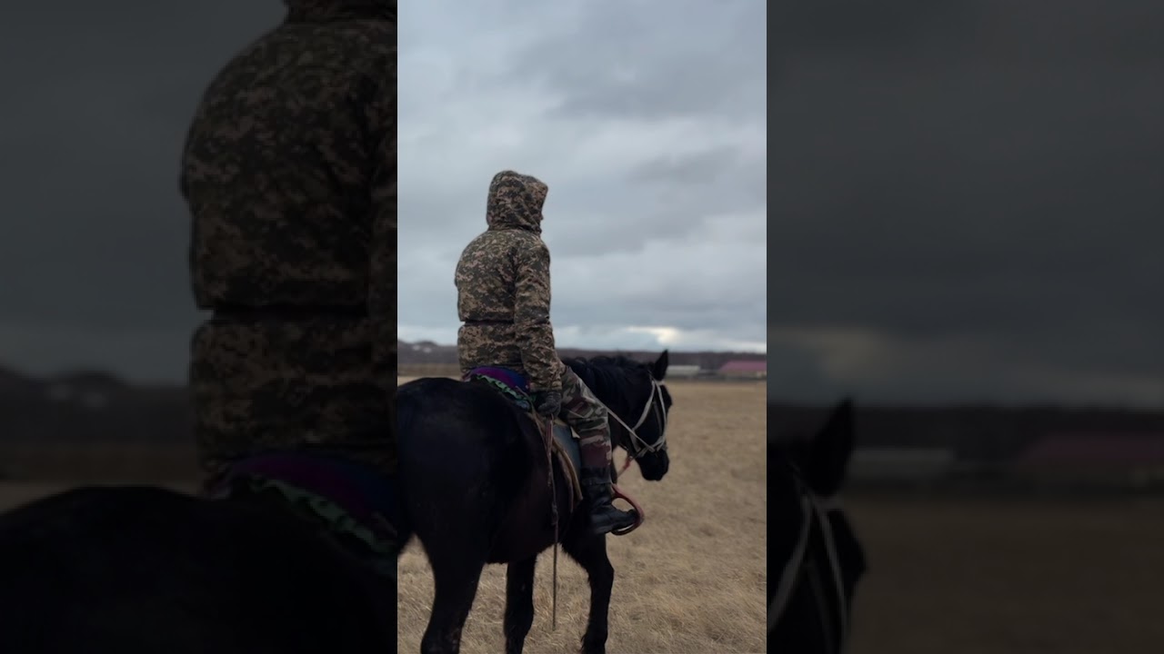 #Орден_иегері