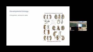 Christy Hipsley Visualising evolution in 4 dimensions using X-ray CT