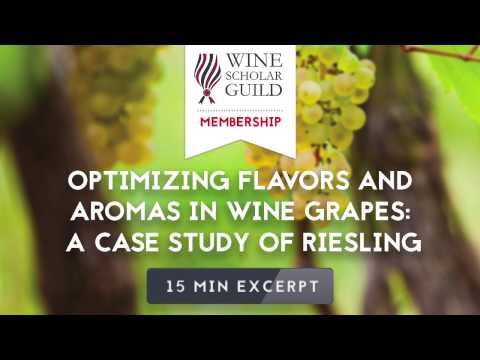 WSG Stdio - Optimizing Flavors and Aromas: A Case Study of Riesling
