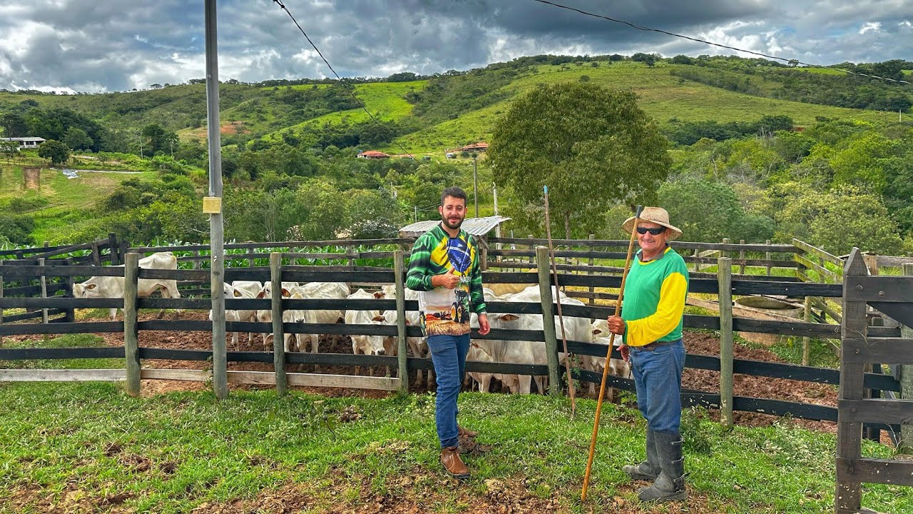VENDE-SE Sítio de 18 Hectares formado a 3km da cidade com ótimo preço MG