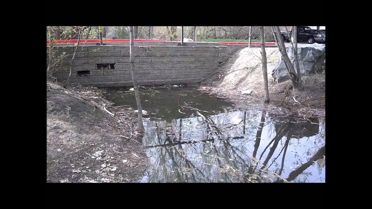 Preston Pond Update part 2 YouTube