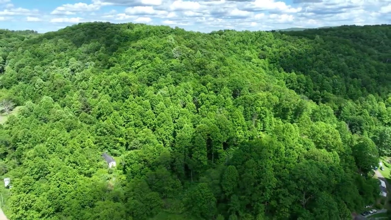 12.04 Acres For Sale in Mercer County West Virginia!