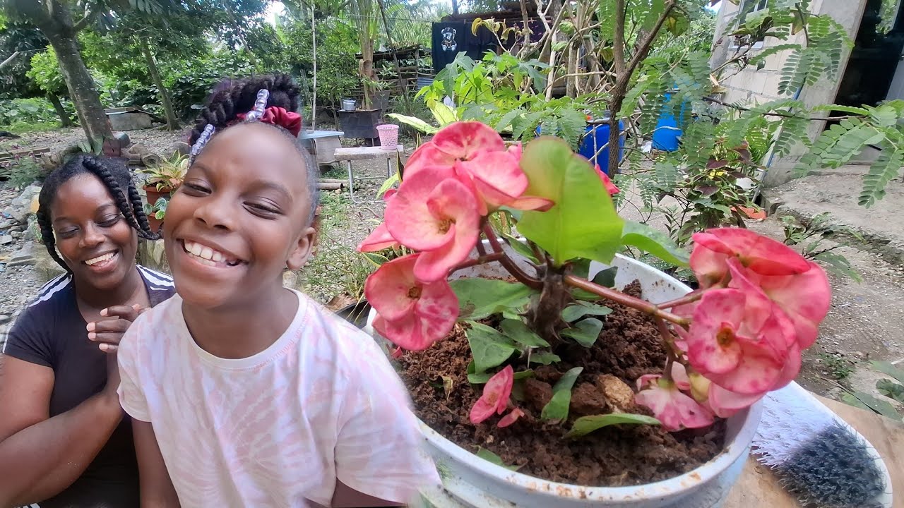 Простая прическа для Эбби, очень легкая и милая.