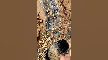 Traditional #goldmining  from black sand earning $9000 a day is easy #goldrush #goldpanning #gold
