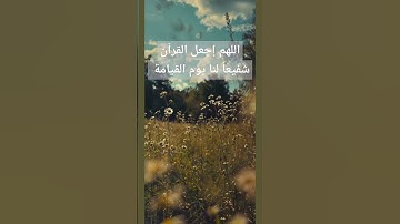 القرآن الكريم/ تلاوة خاشعة/ تلاوة / ترتيل #القرآن_الكريم #quran #راحة_نفسية