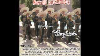 Amorcito Mio-Mariachi Internacional Los Potrillo's