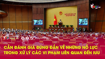Cần đánh giá đúng đắn về những nỗ lực trong xử lý các vi phạm liên quan đến IUU