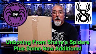 Unboxing from Shane's Spiders Plus Some New Additions!