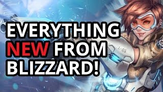 What Stood Out The Most At The Blizzard Press Conference