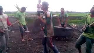 Vidio koplak band kuli bangunan