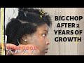How To Do A Big Chop | How To So A Twist Out On Natural Hair