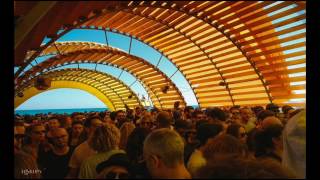 Ricardo Villalobos - Moongomery ( Trptl edit )