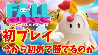 フォールガイズ今から初めて勝てるのか！？【Fall Guys】