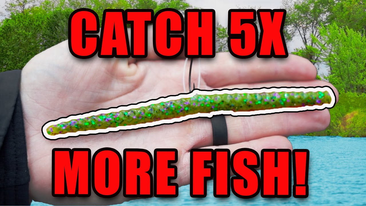 Before You go Bass Fishing, WATCH THIS!