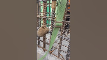 Ties ring column #shorts #construction #skills