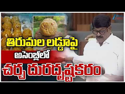 Anam Ramanarayana Reddy About Tirumal Laddu Issue | తిరుమల లడ్డూపై  అసెంబ్లీలో చర్చ  దురదృష్టకరం | - ZEE24TELUGUNEWS