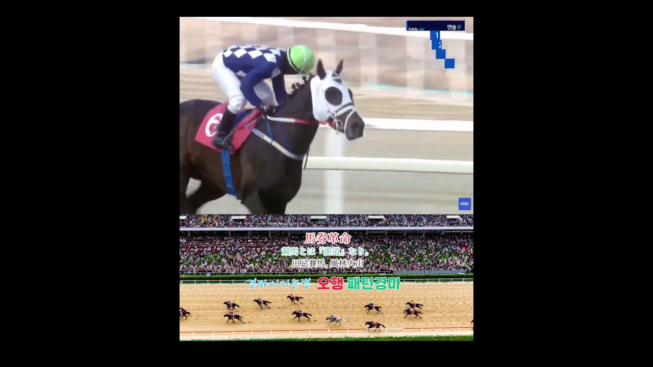 3/15 서울경마장 헤럴드경제배(G3) 클린원 압승