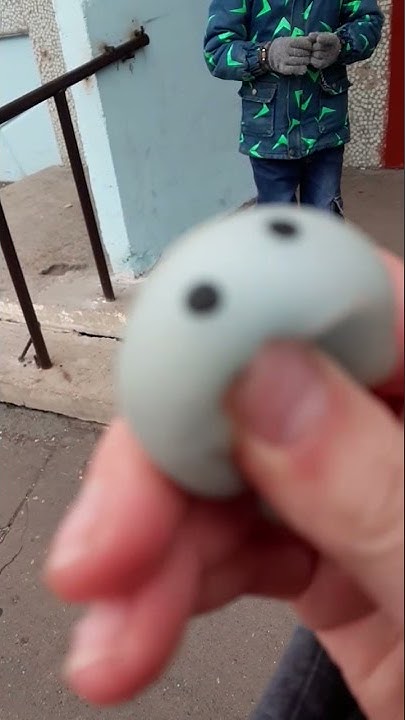 жорики!! - YouTube