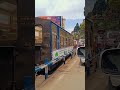Nature in India💥#trending #viral #nature #train #video