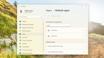 How To Make Pale Moon The Default Browser In Windows 11/10 [Guide]