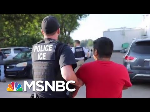 ICE Raid Speaks Louder Than Donald Trump Platitudes On El Paso Shooting | Rachel Maddow | MSNBC