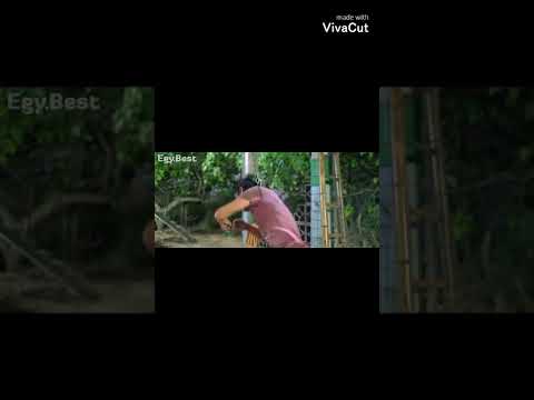 بروس لي Vs دوني ين Bruce Lee Shorts