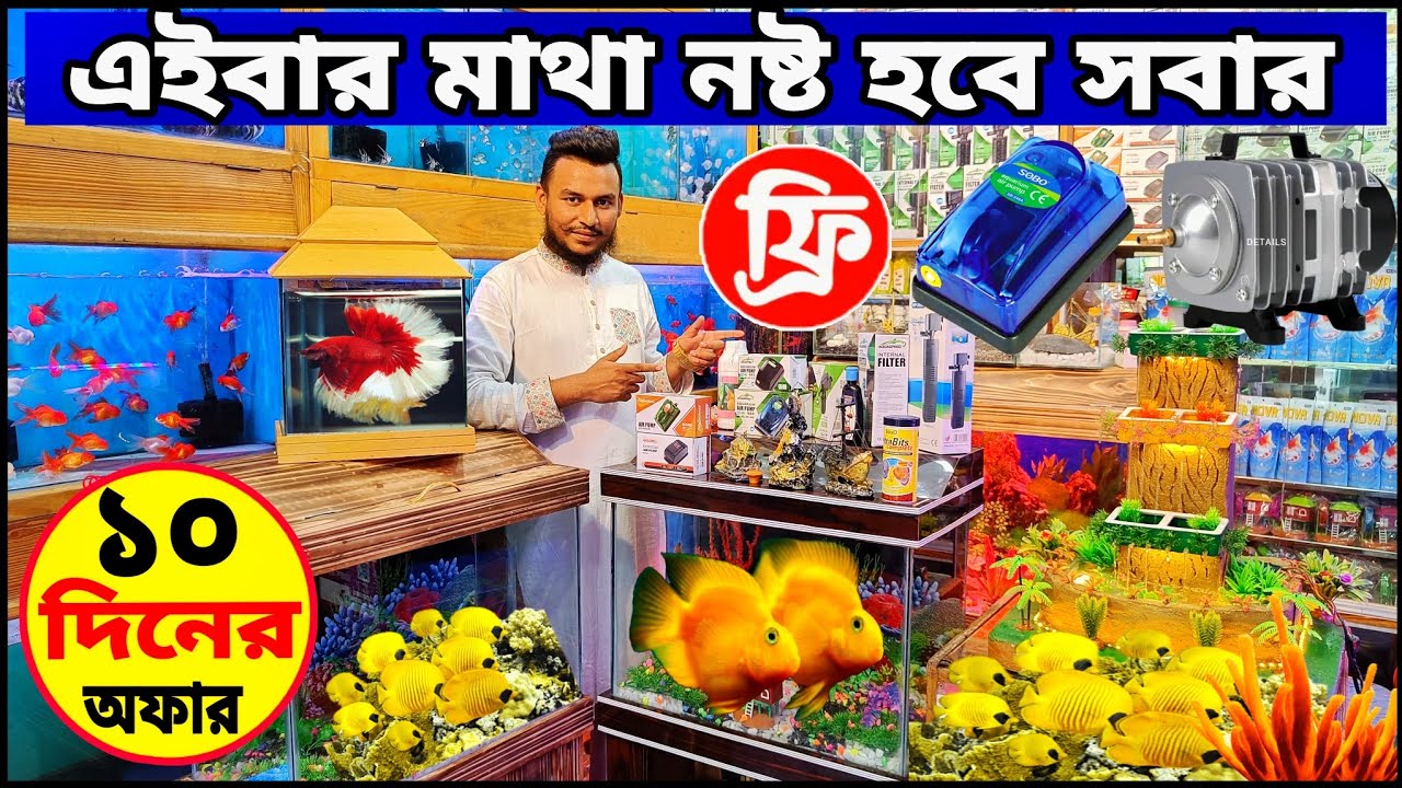 Aquarium Price In Bangladesh। Aquarium Fish Price In katabon। Aquarium
