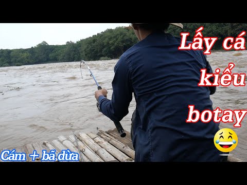 Video Làm mồi lạ dính trắm cỏ, câu cá trên bè tre ✅ - youtube