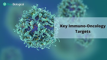 Detection and Characterization of Key Biomarkers in Immuno-Oncology