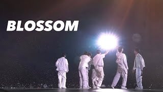 【ENHYPEN 日本語字幕】BLOSSOM    MV [Lyrics/ 가사 ]
