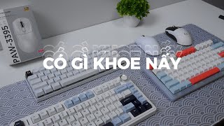 CÓ GÌ KHOE NẤY #1 | Khoe combo gaming gear chục củ, vài em phím giá rẻ đang hot dạo gần đây