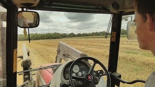 Moisson Blé 2015 | Massey Ferguson 7270 | Bretagne #2 [HD]