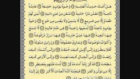 الشيخ لافي العوني _سورة الغاشيه