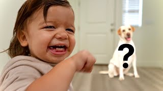 I Surprised My SON With a DOG!!! by Branson Tannerites 68,090 views 3 months ago 9 minutes, 52 seconds