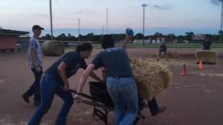 Ellis FFA Farm Olympics