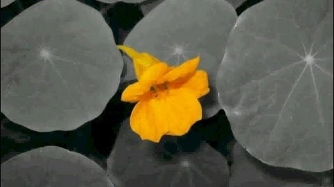 GIMP color selection with GMIC and channels