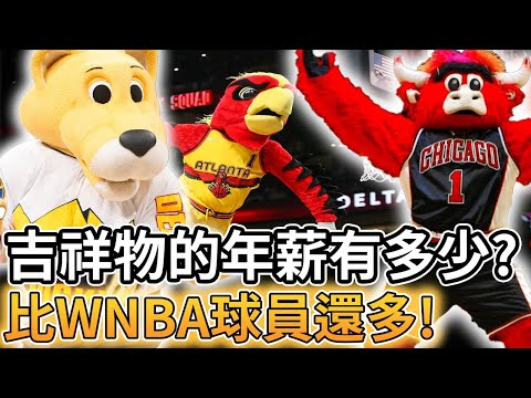 【NBA 美國職籃】吉祥物的年薪有多少? 竟然比WNBA最高薪還多!