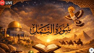 سورة النمل كاملة للقارئ المميز | تلاوة مؤثرة جداً screenshot 3