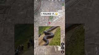 I Found Giant Snake on Google Maps!  #shorts #googleearth #googlemaps