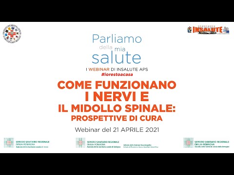 Video: Come viene protetto il midollo spinale?