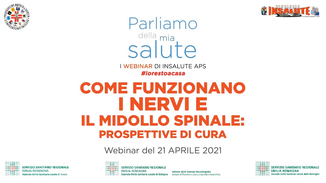 Come funzionano i nervi e il midollo spinale: prospettive di cura | I webinar di InSalute