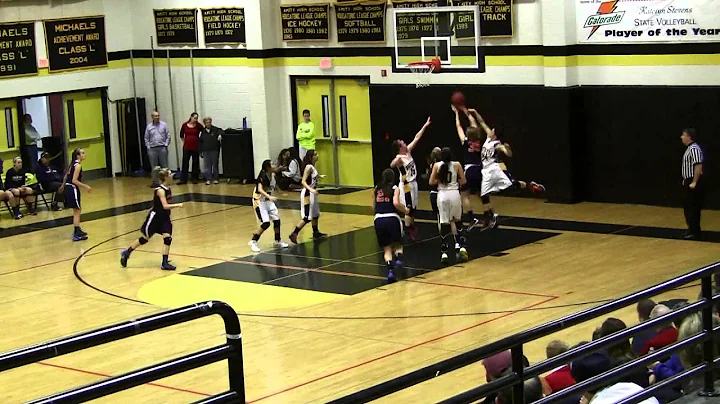Highlights - Elise Graham #24 Amity HS 2013-'14 Pa...