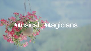 Colorful Flowers By Tokyo Music Walker [ Copyright Free - Safe Music ]