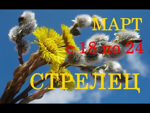 СТРЕЛЕЦ. ТАРО-ПРОГНОЗ на НЕДЕЛЮ с 18 по 24 МАРТА 2019г.