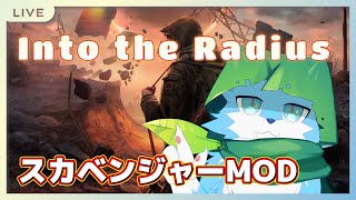 【VRゲーム】久しぶりにラディウス～スカベンジャーMODいれてやる～