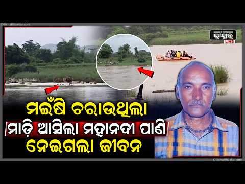 ମଇଁଷି ଚରାଇବାକୁ ଯାଇ ଅଘଟଣ, ନଦୀରେ ନିଖୋଜ ଥିଲେ  ଗୋପାଳକ.. ୨ ଦିନ ପରେ ମିଳିଲା ମୃତଦେହ...